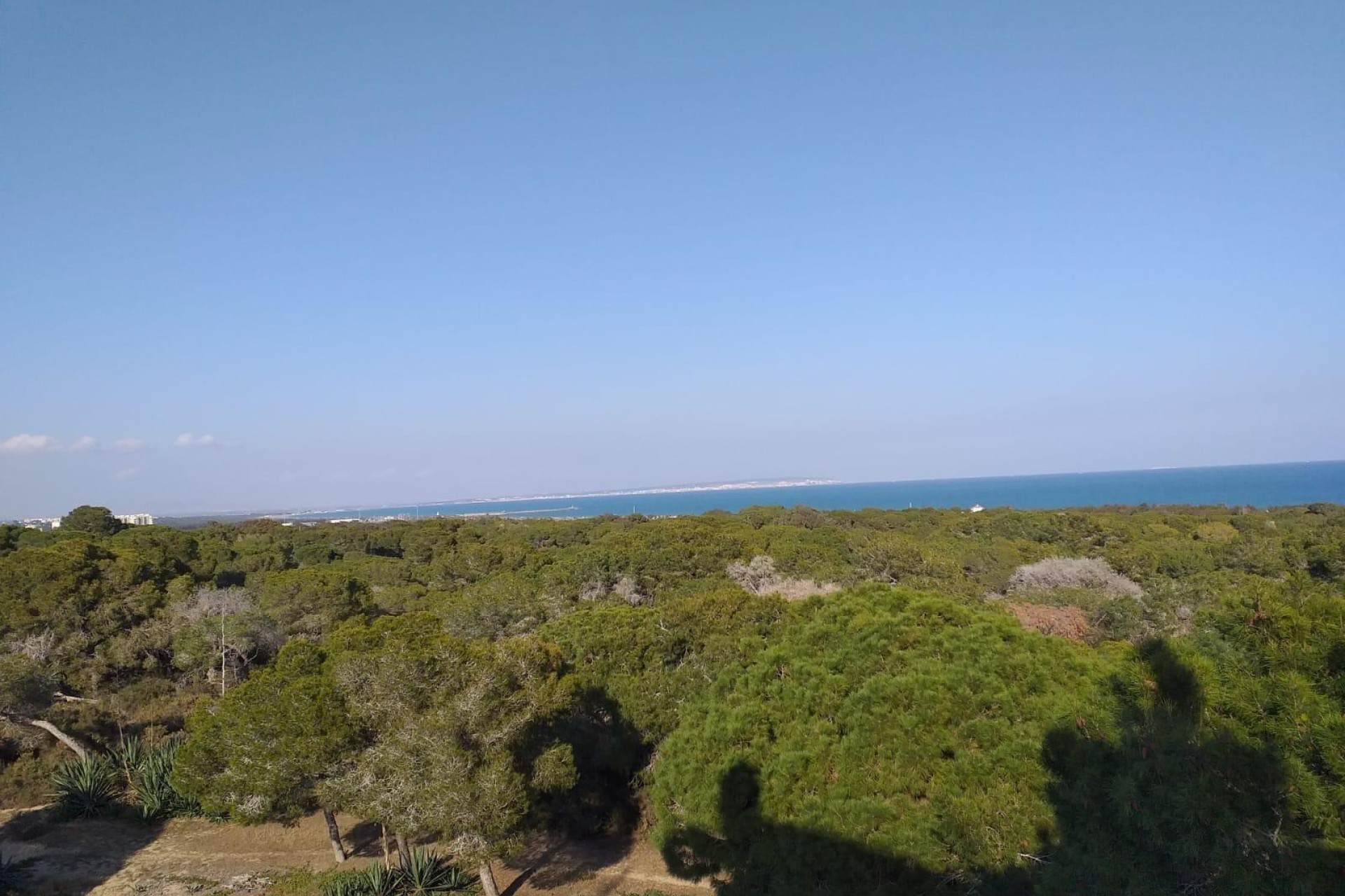 Nouvelle construction - Apartment - Guardamar del Segura - Pueblo