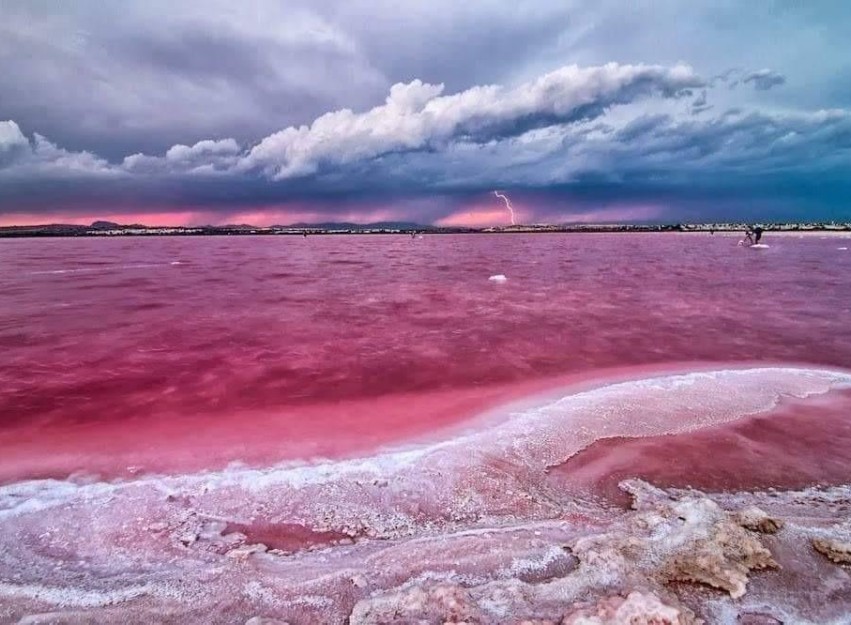 Nouvelle construction - Apartment - Torrevieja - Centro