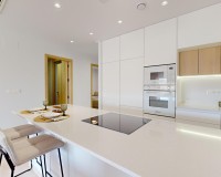 Nouvelle construction - Attique - Guardamar del Segura - El Raso