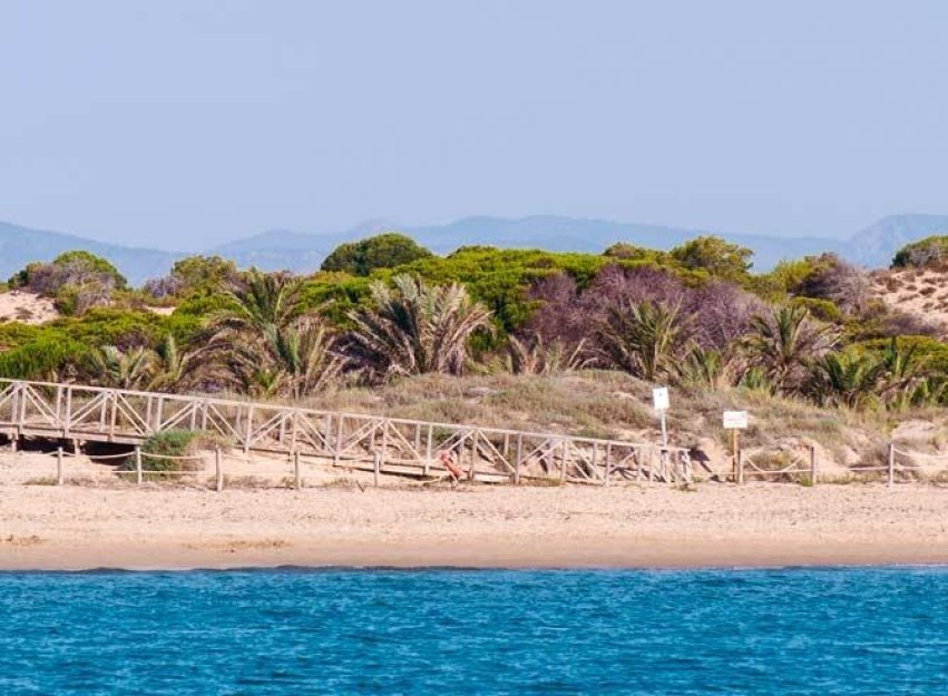 Nouvelle construction - Attique - Guardamar del Segura - Pueblo