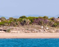 Nouvelle construction - Attique - Guardamar del Segura - Pueblo