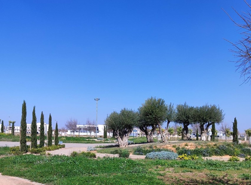 Nouvelle construction - Attique - Torre Pacheco - Centro