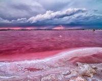 Nouvelle construction - Attique - Torrevieja - Centro