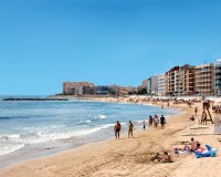 Nouvelle construction - Attique - Torrevieja - Playa de los Locos