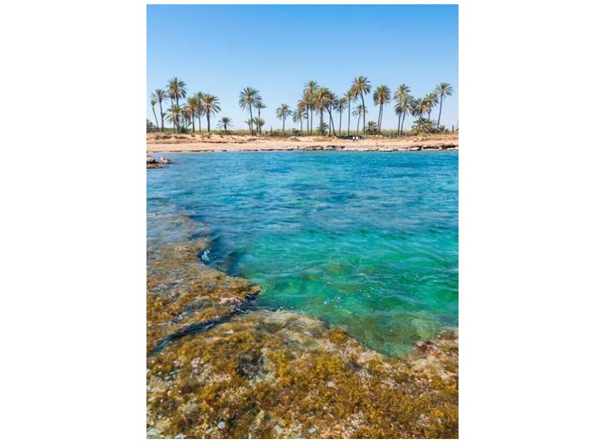 Nouvelle construction - Attique - Torrevieja
