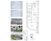 Nouvelle construction - Bungalow - Pilar de la Horadada - pueblo