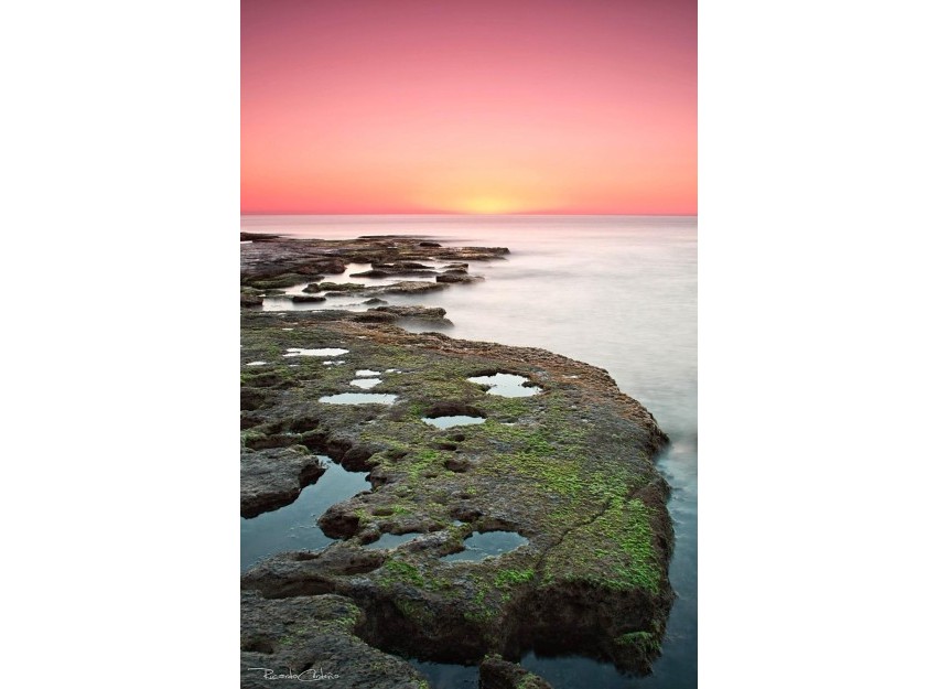 Nouvelle construction - Bungalow - Torrevieja - Altos del Sol