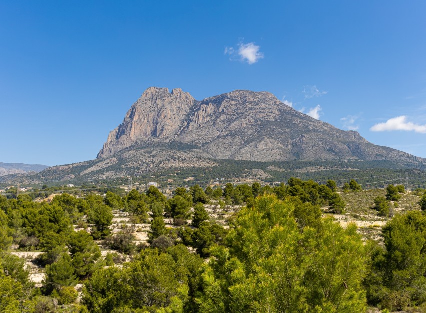 Nouvelle construction - detached - Finestrat