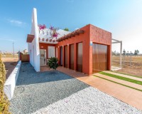 Nouvelle construction - detached - Los Alcázares