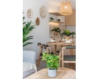 Nouvelle construction - detached - Los Alcázares