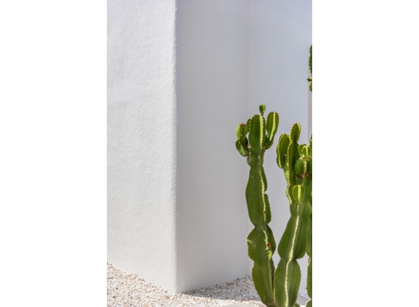 Nouvelle construction - detached - Los Alcázares