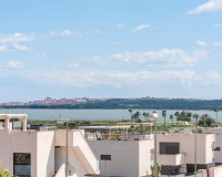 Nouvelle construction - detached - Los Montesinos