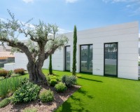 Nouvelle construction - detached - Molina de Segura