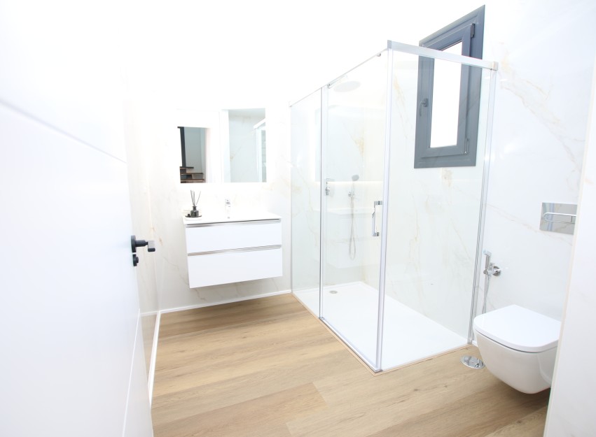 Nouvelle construction - detached - Pilar de la Horadada