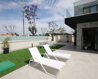 Nouvelle construction - detached - Pilar de la Horadada