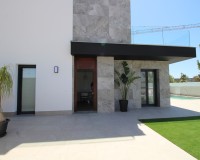 Nouvelle construction - detached - Pilar de la Horadada