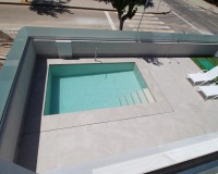 Nouvelle construction - detached - Pilar de la Horadada