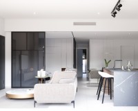 Nouvelle construction - detached - Pilar de la Horadada