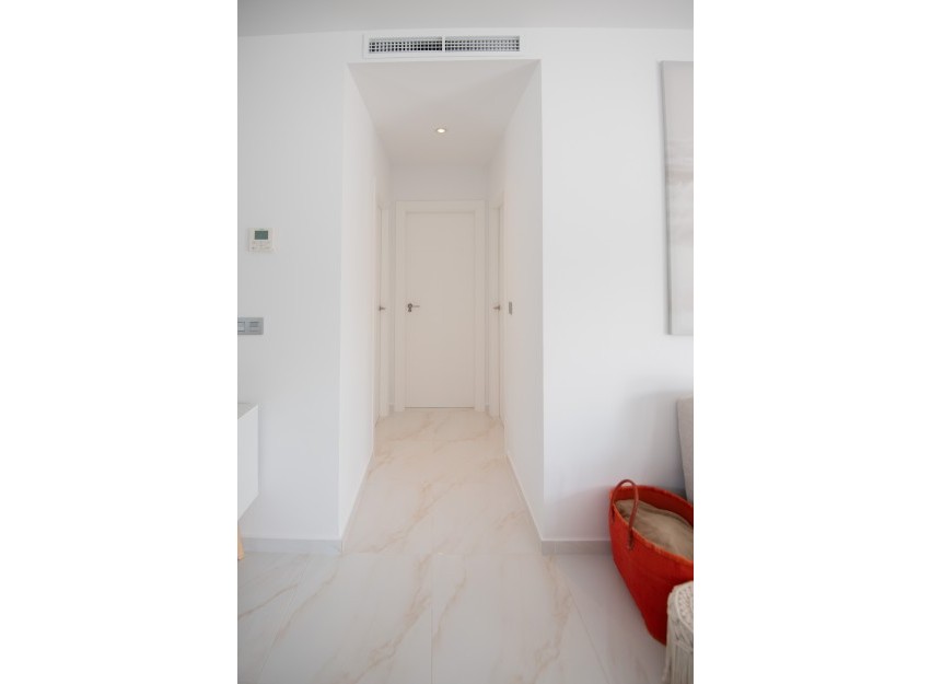 Nouvelle construction - detached - Pinar de Campoverde