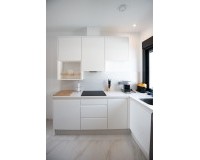 Nouvelle construction - detached - Pinar de Campoverde