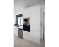 Nouvelle construction - detached - Pinar de Campoverde