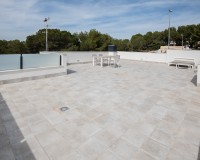 Nouvelle construction - detached - Pinar de Campoverde