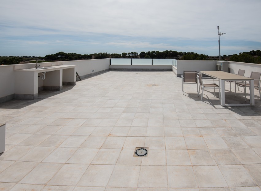 Nouvelle construction - detached - Pinar de Campoverde