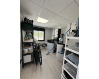 Nouvelle construction - detached - Pinoso