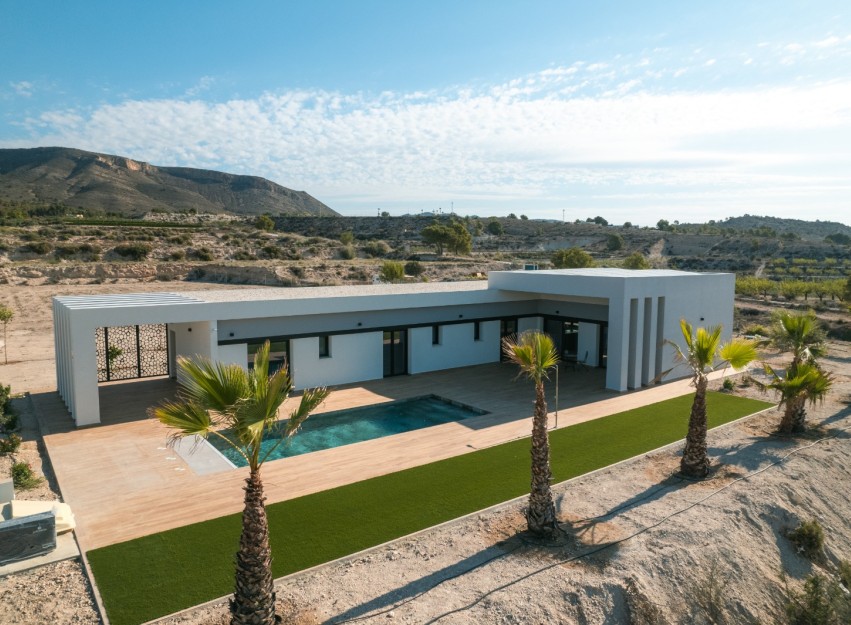 Nouvelle construction - detached - Pinoso