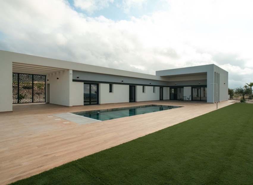 Nouvelle construction - detached - Pinoso