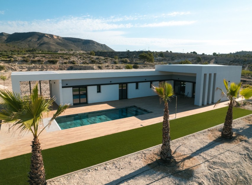 Nouvelle construction - detached - Pinoso