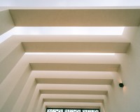 Nouvelle construction - detached - Pinoso