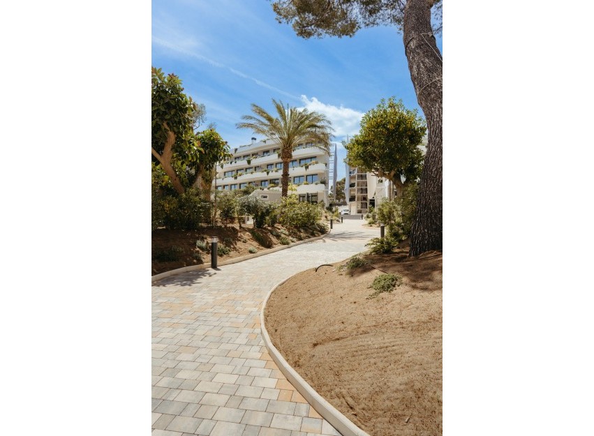 Nouvelle construction - ground-floor - Alfaz del Pi