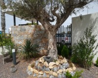 Nouvelle construction - low-bungalow - Torrevieja