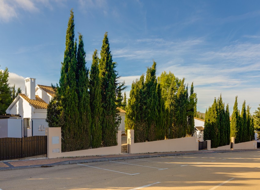Nouvelle construction - terraced - Fuente Alamo