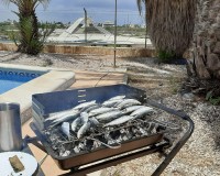 Nouvelle construction - terraced - San Javier