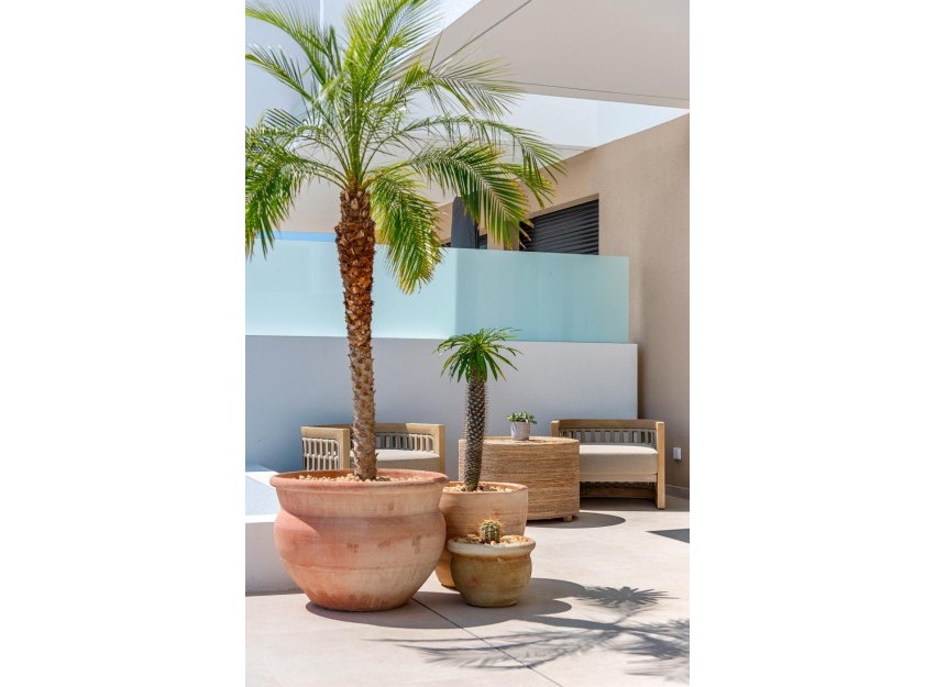 Nouvelle construction - Town House - Dolores - Sector 3