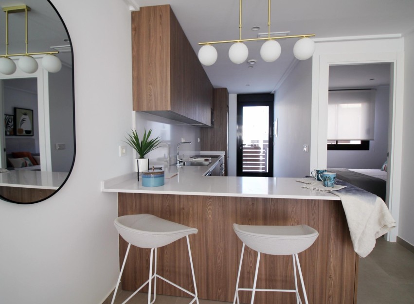 Nouvelle construction - Town House - Pilar de la Horadada - parque Andromeda