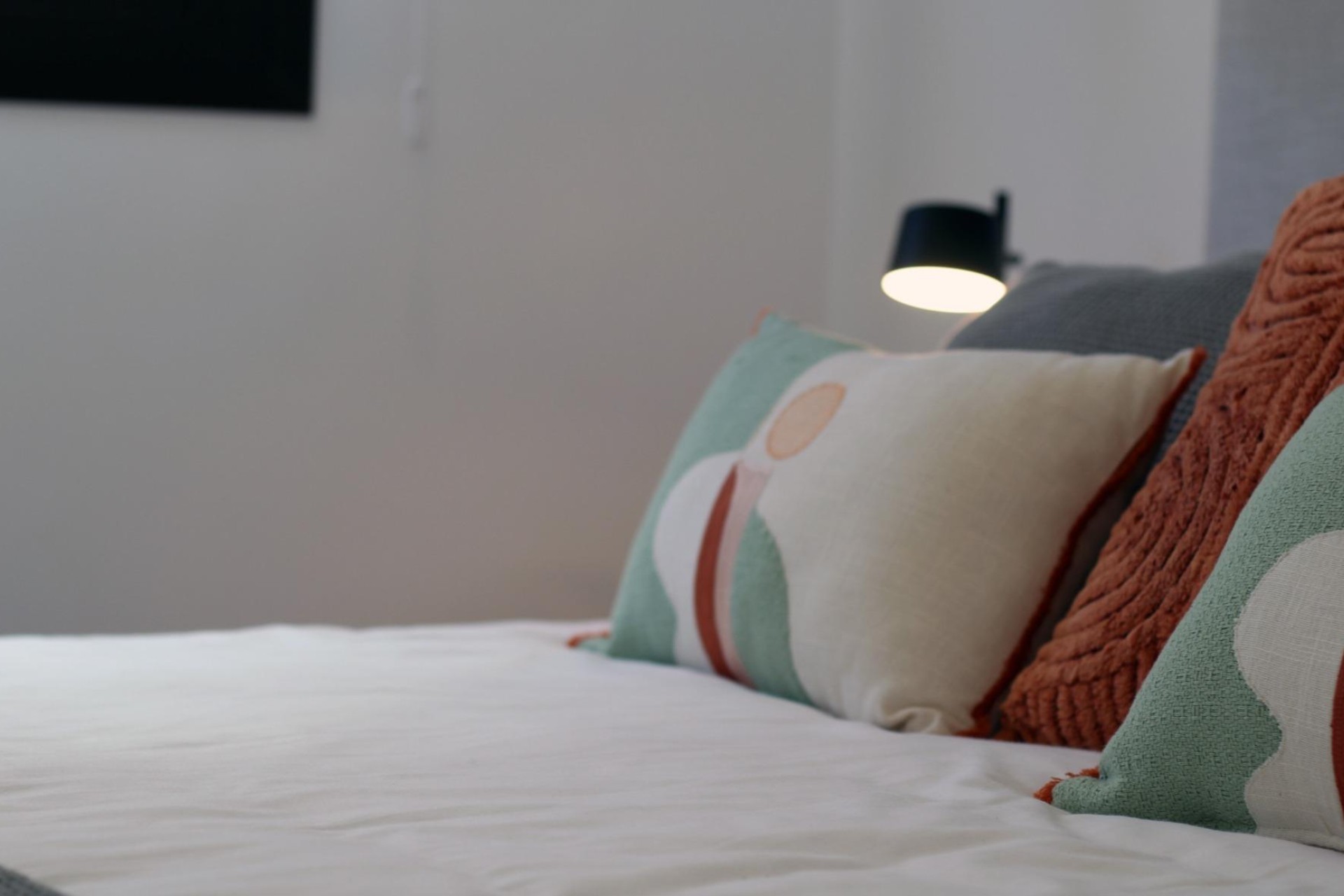 Nouvelle construction - Town House - Pilar de la Horadada - parque Andromeda