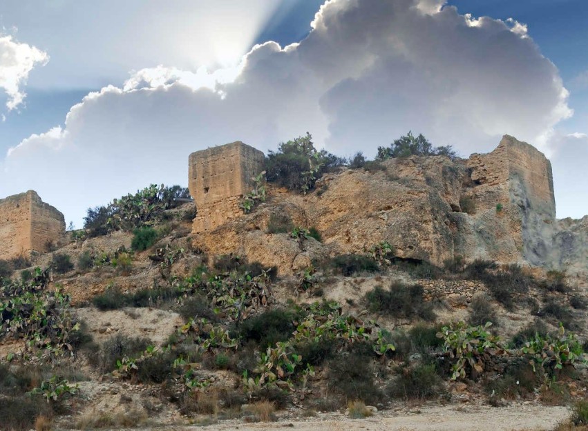 Nouvelle construction - Villa - Aspe - Centro