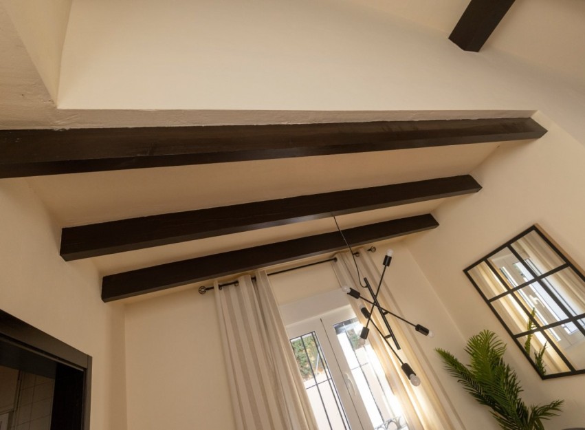 Nouvelle construction - Villa - Fuente Alamo - Las Palas