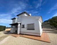 Nouvelle construction - Villa - Fuente Alamo - Las Palas