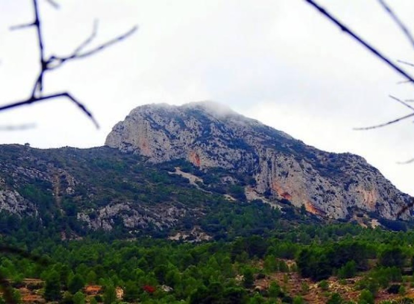 Nouvelle construction - Villa - La Romana - Batistes