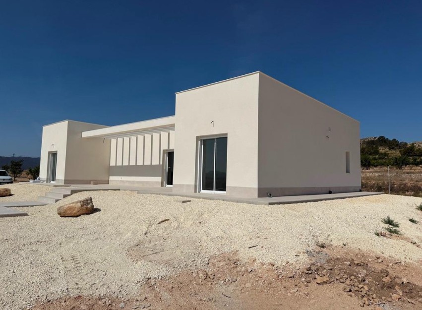 Nouvelle construction - Villa - Pinoso - Camino Del Prado