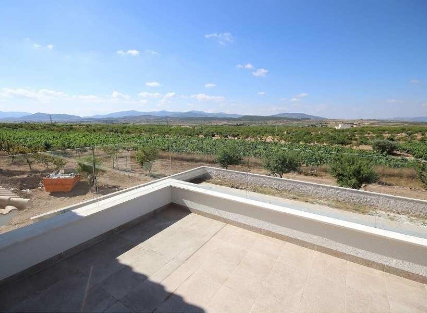 Nouvelle construction - Villa - Pinoso - Camino Del Prado