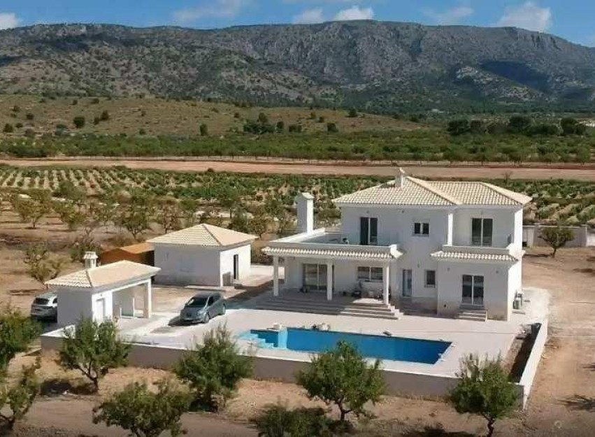 Nouvelle construction - Villa - Pinoso - Camino Del Prado