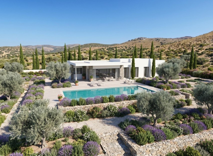 Nouvelle construction - Villa - Pinoso - Casas Pastor