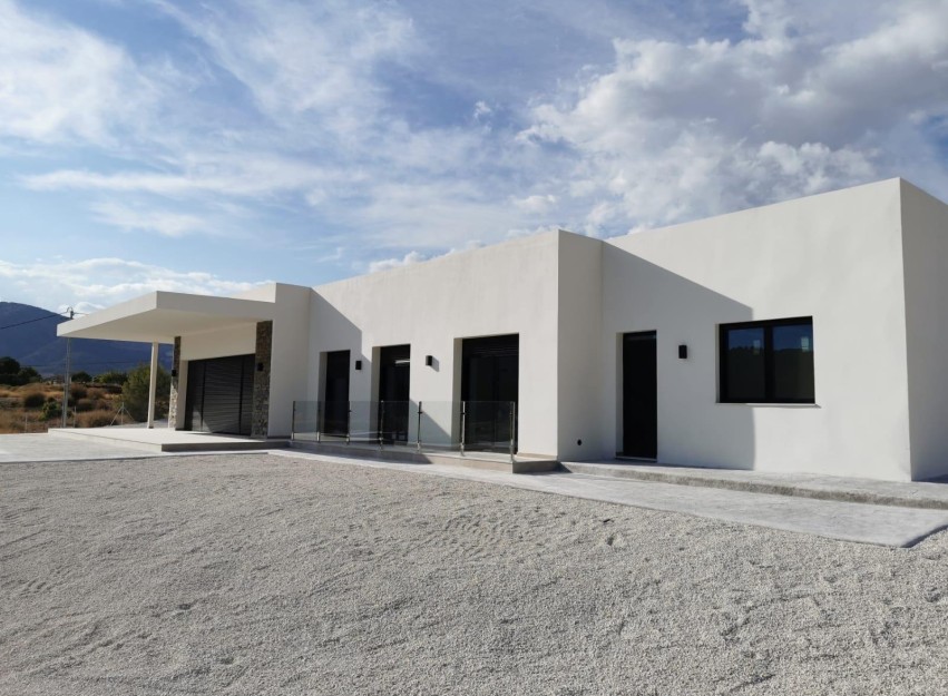 Nouvelle construction - Villa - Pinoso - Casas Pastor