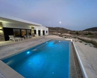 Nouvelle construction - Villa - Pinoso - Casas Pastor