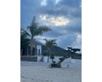 Nouvelle construction - Villa - Pinoso - Casas Pastor